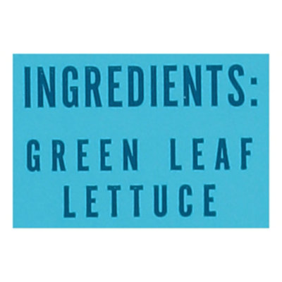 Little Leaf Farms Crispy Green Leaf Lettuce - 4 Oz - Image 4
