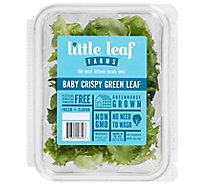 Little Leaf Farms Crispy Green Leaf - 4 OZ