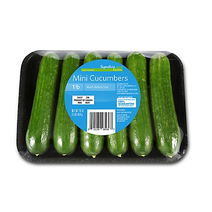 Signature Farms Mini Cucumbers Tray - 1 Lb - Image 1