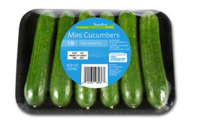 Five Fresh Mini Cucumbers One Cut Two Halves Flatlay Isolated