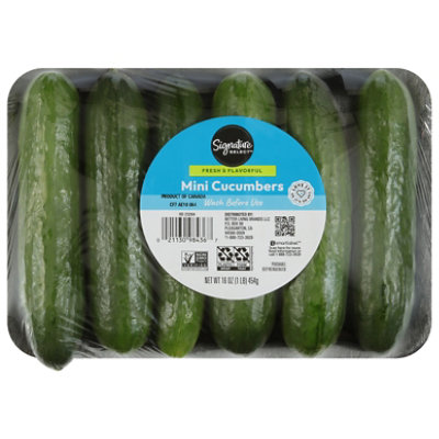 Signature Select/Farms Mini Cucumbers Tray - 1 Lb