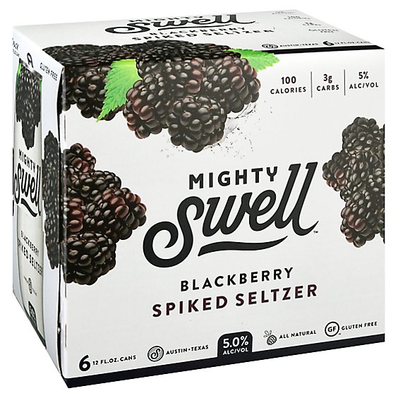 Mighty Swell Blackberry Spiked Seltzer 6pkcn In Cans - 6-12 FZ