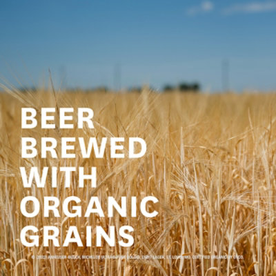 Michelob ULTRA Pure Gold Organic American Lager Beer in Bottles - 18 - 12 Fl. Oz. - Image 3