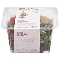 Urban Remedy Organic Rainbow Salad - 7.6 OZ - Image 2