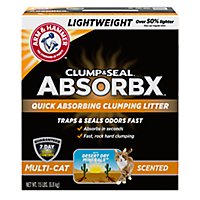 ARM & HAMMER Scented Clump Seal Absorbx Clumping Multicat Litter - 15 Lb - Image 1