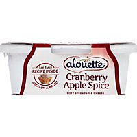 Alouette Cranberry Apple Spice Cheese Spread - 6 OZ - Image 2