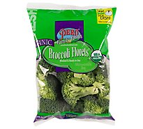 Broccoli Florets Organic - 8 OZ