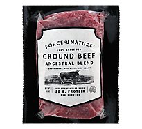 Force Of Nature Ground Beef Ancestral Grass Fed Brick - 16 OZ