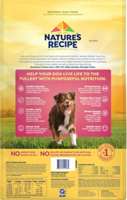 Natures Recipe Grain Free Salmon Dry Dog - 12 LB - Image 4
