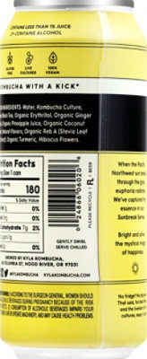 Kyla Hard Kombucha Sunbreak 3 Pineapple Ginger Colada - 16 FZ - Image 6