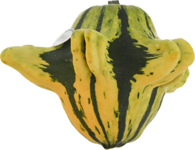 Squidmo Gourd - Each - Image 4