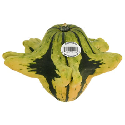 Squidmo Gourd - Each - Image 1