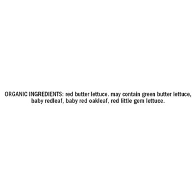organicgirl Butter Plus - 4 Oz. - Image 4