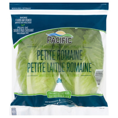 Romaine Petite - 2 CT - Image 3