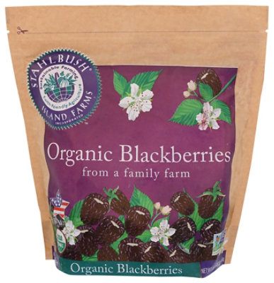 Stahlbush Island Farms Blackberries Org - 3 LB - Image 1