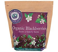 Stahlbush Island Farms Blackberries Org - 3 LB
