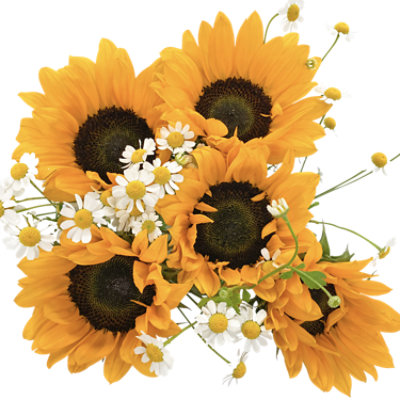 Debi Lilly Sunflower Pairs - Each - Image 1