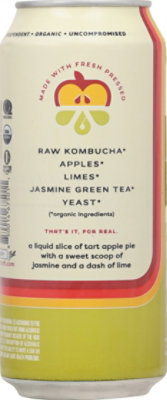 Boochcraft Apple Lime In Cans - 16 FZ - Image 5