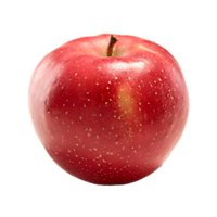 SnapDragon Apple - Image 1