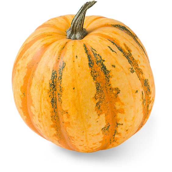 American Tondo Pumpkin - Each