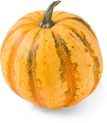 American Tondo Pumpkin - Each