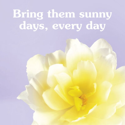 Suavitel Fabric Softener Morning Sun - 46 Fl. Oz. - Image 4