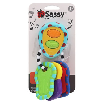 Sassy Electronic Keys Each - EA - Image 3