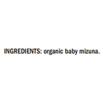 Org Girl Peppery Mizuna - 5 OZ - Image 4
