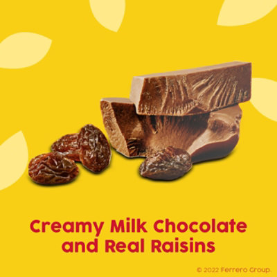 Raisinets Milk Chocolate Covered California Raisins Resealable Bag - 8.0 Oz - Image 2