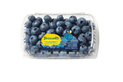 Driscolls Limited Edition Sweetest Batch Blueberries - 11 OZ - Image 1