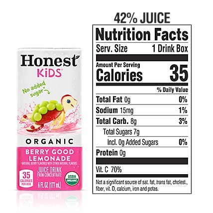 Honest Kids Berry Good Lemonade - 8-6 FZ - Image 4
