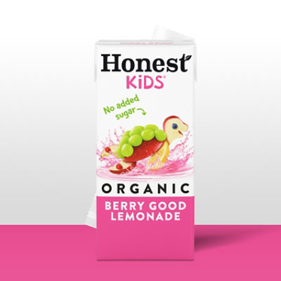 Honest Kids Berry Good Lemonade - 8-6 FZ - Image 4