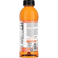 Honest Peach Oolong Tea-ko Bottle - 16.9 FZ - Image 6