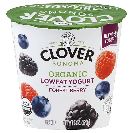 Clover Organic Natural Forest Berry Low Fat Yogurt - 6 Oz.
