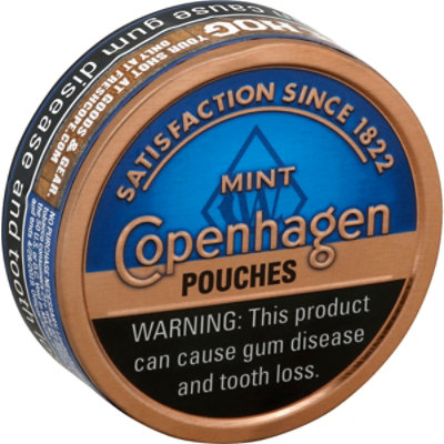 Copenhagen Mint Pouch - 1.2 OZ - Image 1