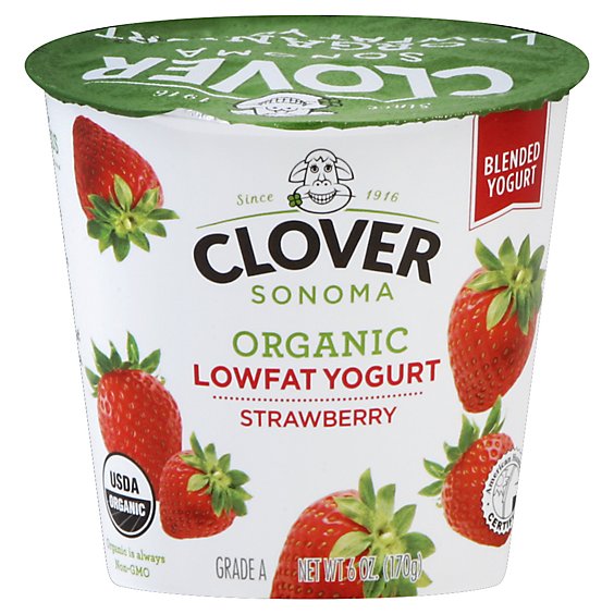 Clover Lowfat Strawberry Yogurt - 6 OZ