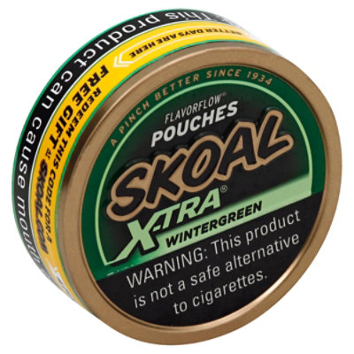Skoal Extra Pouch Wintergreen - .82 OZ - Image 1