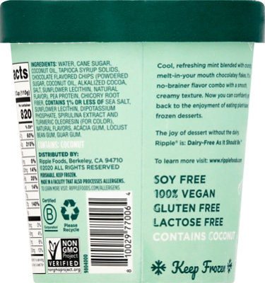 Ripple Frozen Dessert-mint Chip - 16 OZ - Image 6