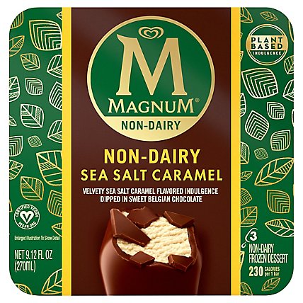Magnum Ice Cream Sea Salt Caramel Non Dairy - 9.12 FZ - Image 3