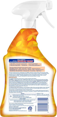 Lysol Apc 32oz Trg Trop Sct - 32 FZ - Image 3