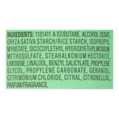 Garnier Fructis Invisible Dry Shampoo Mint Mojito - 4.4 OZ - Image 4