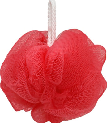 Body Benefits Netted Facial Sponge - Each - Image 3