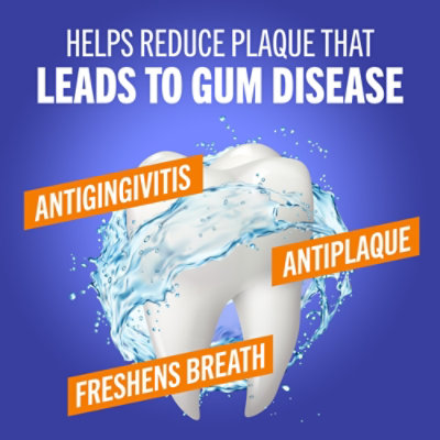 TheraBreath Clean Mint Antigingivitis Healthy Gums Mouthwash - 16 Fl. Oz. - Image 3