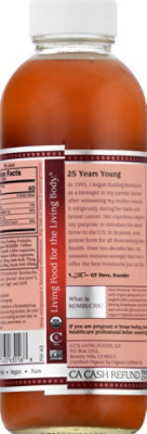 Gts Synergy Pomegranate Power Organic - 16 FZ - Image 6