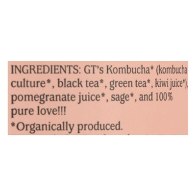 Gts Synergy Pomegranate Power Organic - 16 FZ - Image 5