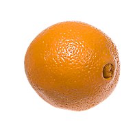 Navel Heirloom Orange - Image 1