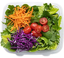 Garden Salad - EA