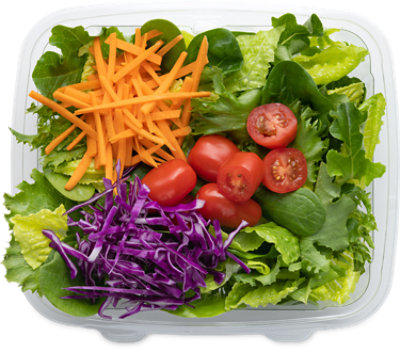 Garden Salad - EA - Image 1