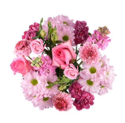 Debi Lilly Flowers Care Best Flower Site