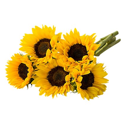 Sunflowers Bunch - EACH - Image 1